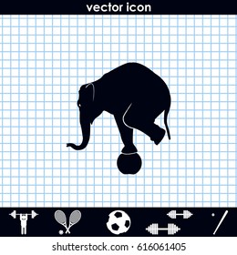 Elephant standing on a ball icon. Flat animal illustration.