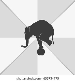 Elephant standing on a ball icon. Flat animal illustration.