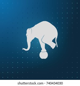Elephant standing on a ball icon. Flat animal illustration.