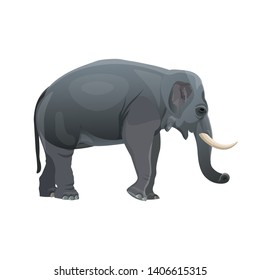 Elephant standing. Side view. Vector illustration isolated on the white background