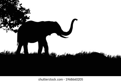 elephant standing Vector illustration, African nature with a wild elephant. Black silhouette of an elephant.