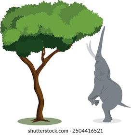 Elephant stands on its back legs to eat tree top leaves