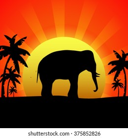 Elephant at sunset. Illustration