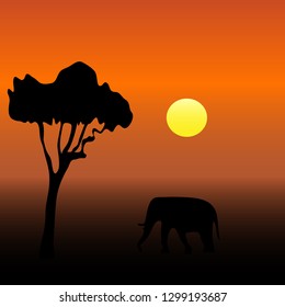 Elephant at sunset vector