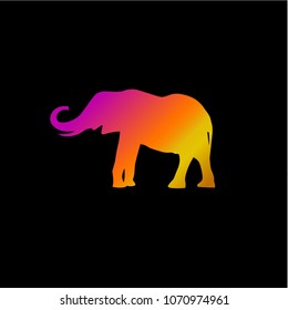 elephant symbol, colorful logo. Vector illustration