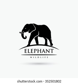 Elephant symbol - vector illustration