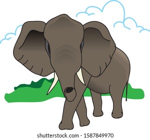 an elephant that is walking alone