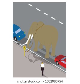 Elephant tied to a parking meter vector