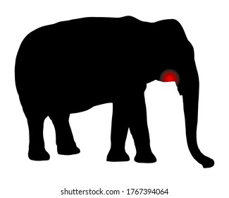 Elephant with toothache on white