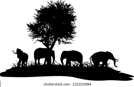 elephant and tree Silhouette on white bacground