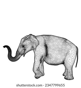 Elephant Vector 01. Isolated On White Background. A Vector Illustration Of An Elephant.