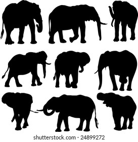 elephant, vector