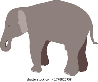 Elephant in the vector. Abstract animal. Hand drawn.