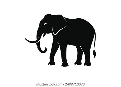 Elephant vector and art work