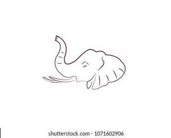 Elephant Vector design