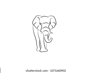 Elephant Vector design