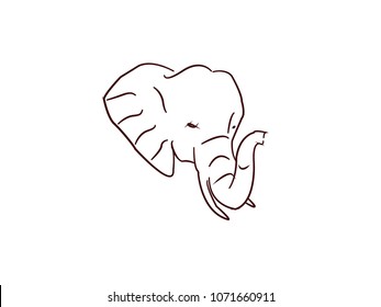 Elephant Vector design