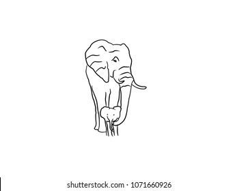 Elephant Vector design