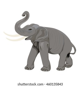 elephant vector design