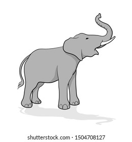 Elephant vector design on white background