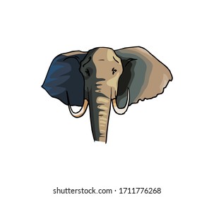 Elephant vector design on white background