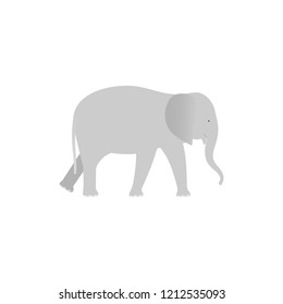Elephant. Vector. Elephant in flat design. Zoo wild animal isolated. African fauna on white background. Cartoon Illustration.