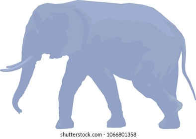 Elephant Vector Graphic Art