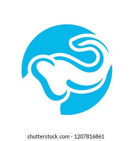 Elephant Vector Graphic Template Download Modern