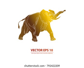 Elephant vector icon. Abstracts vector icon on background. Vector illustration EPS 10 .