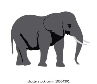 Elephant Vector Illustration