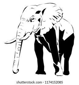 Elephant - vector illustration