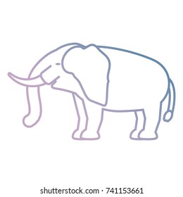 elephant vector illustration