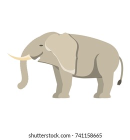 elephant  vector illustration