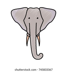 elephant vector illustration