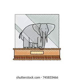 elephant  vector illustration