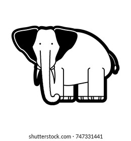 elephant vector illustration