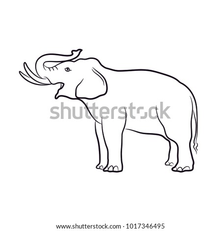 Elephant vector, illustration
