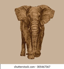 Elephant vector illustration. Artistic African elephant image, front view. 6 layers of color, each color grouped. Shades of brown.