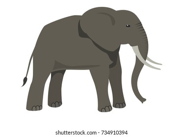 Elephant. Vector illustration, a flat style design. Isolated on a white background.