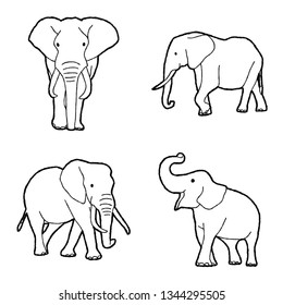 Elephant Vector Illustration Hand Drawn Animal Cartoon Art