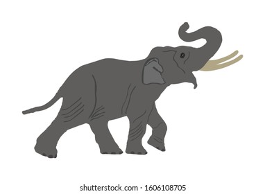 Elephant vector illustration isolated on white background.
Elephant male vector. African animal, alert of poacher. Safari attraction.