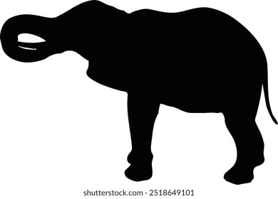 Elephant vector illustration on a contrasting black and white background, great for minimalist design projects