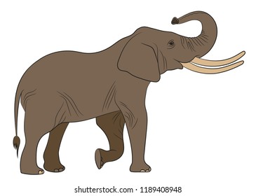 Elephant. Vector illustration on white background.