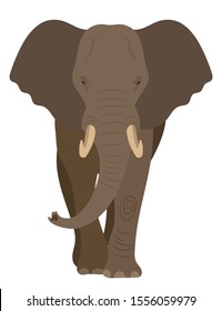 Elephant. Vector illustration on white background.