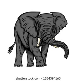 elephant vector illustration ready to use for all purpose