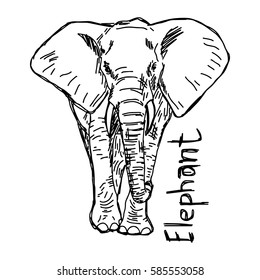 elephant - vector illustration sketch hand drawn with black lines, isolated on white background