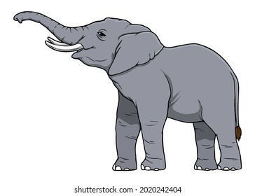 elephant vector illustration,isolated on white background,top view