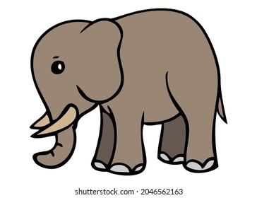 elephant vector illustration,isolated on white background,top view