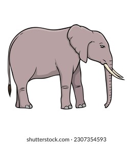 elephant vector illustration,isolated on white background,top view