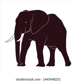 elephant vector isolated on whitet baground